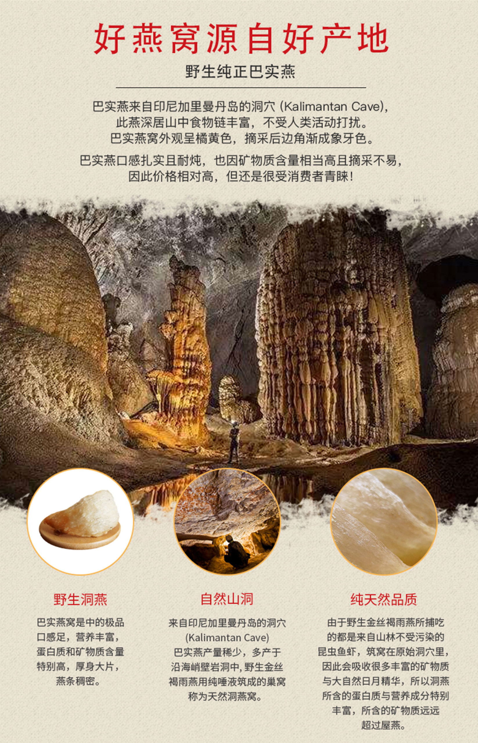 印尼巴实燕100g 信兴祥e商城